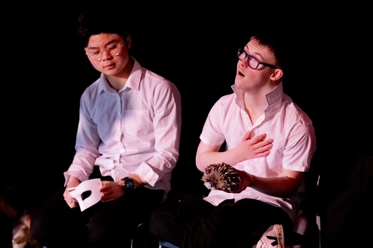 The Collective (2025)